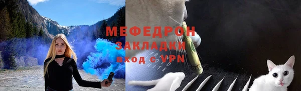 амф Ельня