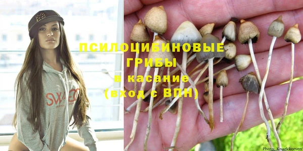 шишки Алзамай