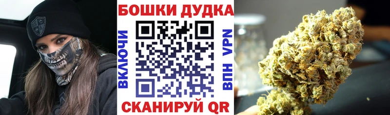 где купить наркоту  Прокопьевск  Шишки марихуана Amnesia 